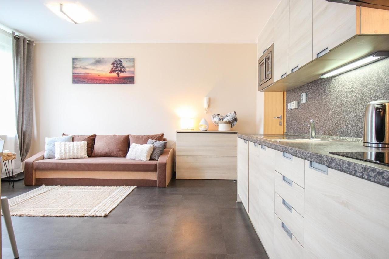 S Rodinou Do Krkonos Apartment Harrachov Ngoại thất bức ảnh